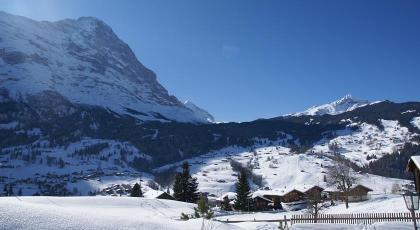 Apartment Baergrose - Griwa Rent Ag Grindelwald Zewnętrze zdjęcie