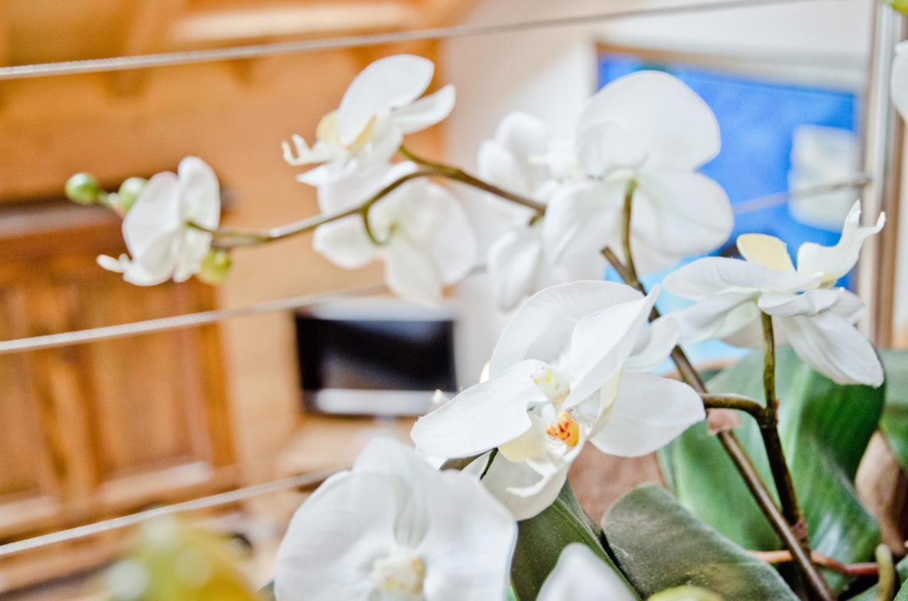 Apartment Baergrose - Griwa Rent Ag Grindelwald Zewnętrze zdjęcie